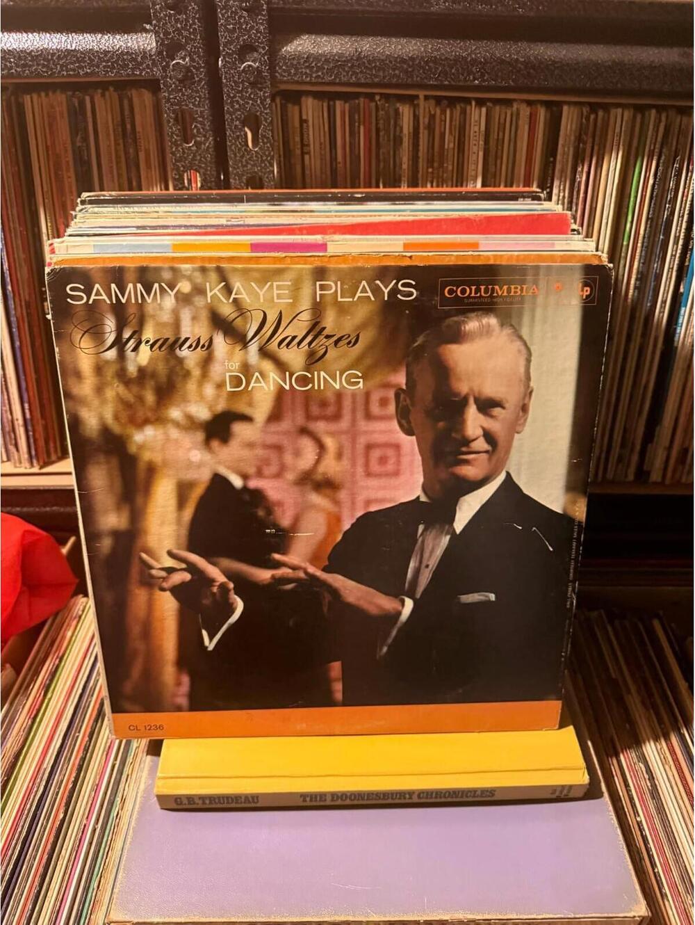 Sammy Kaye Plays Strauss Waltzes For Dancing Vintage 33rpm VG+ AB77